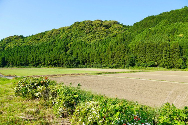 農地転用